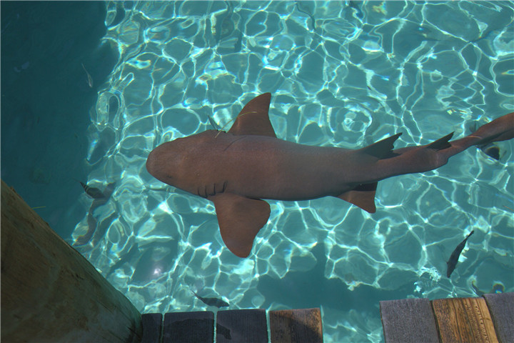 image092