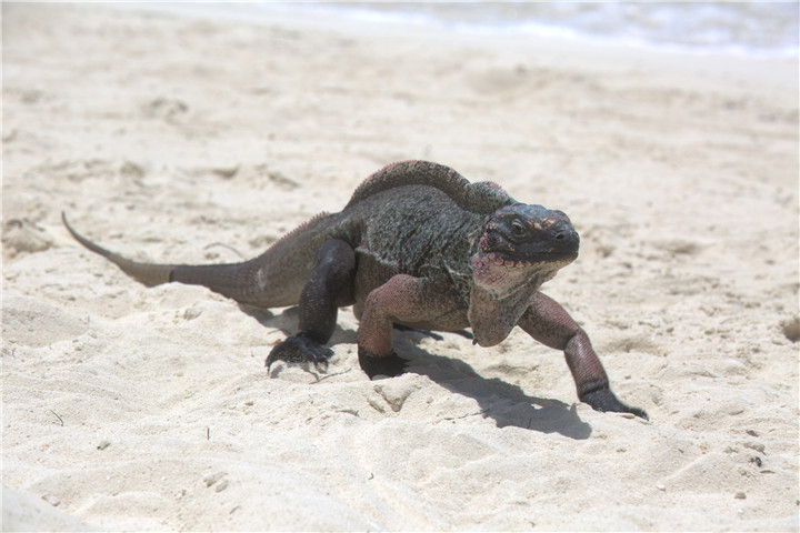 image104
