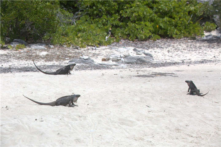 image106