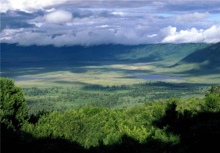 ngorongoro1_副本