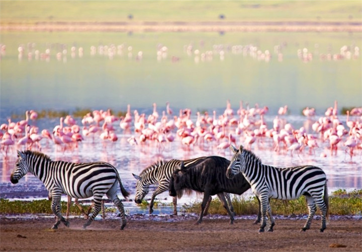 lake-manyara_副本