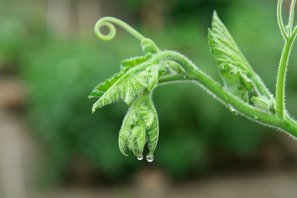 Nipic_9328021_20120210210324763184