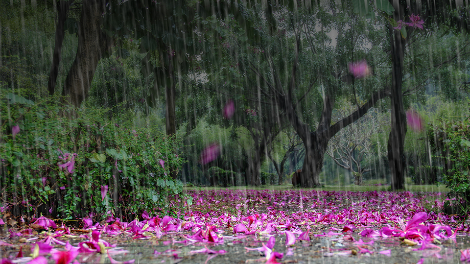 Nipic_9159693_20140511001204470000