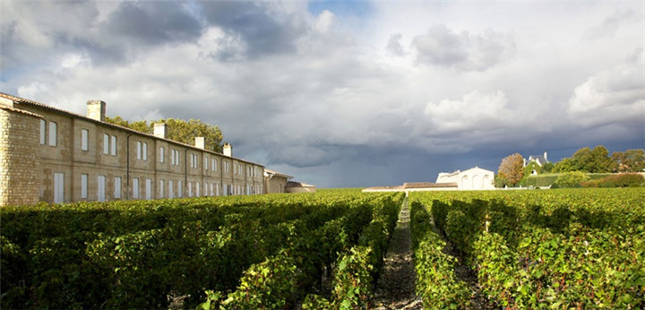 chateau-mouton-rothschild-mathieu-anglada