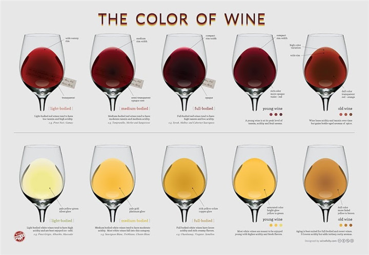wine-color-chart1