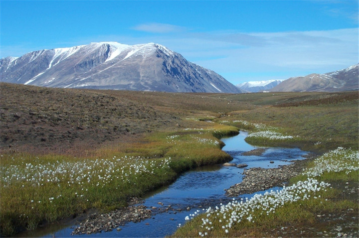 Zackenberg