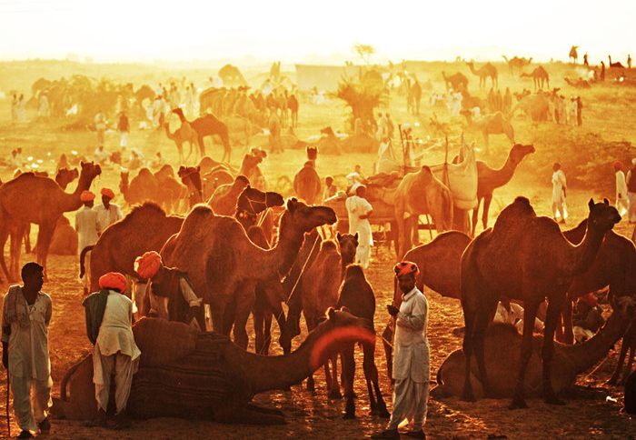 pushkar-fair