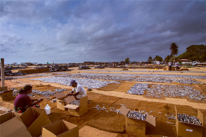 travel-footprint-negombo-fishing