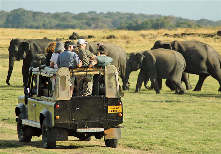 Jeep-Safari-in-Yala-National-Park