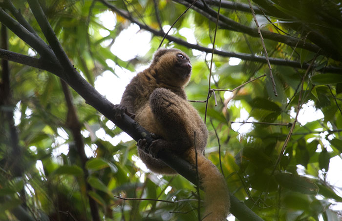 哈努玛法纳保护区