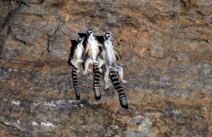 伊萨鲁国家公园