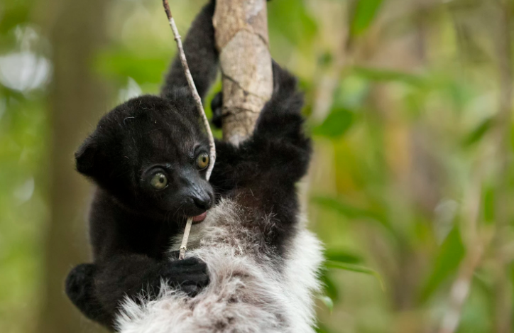 snap_screen_20180201163129