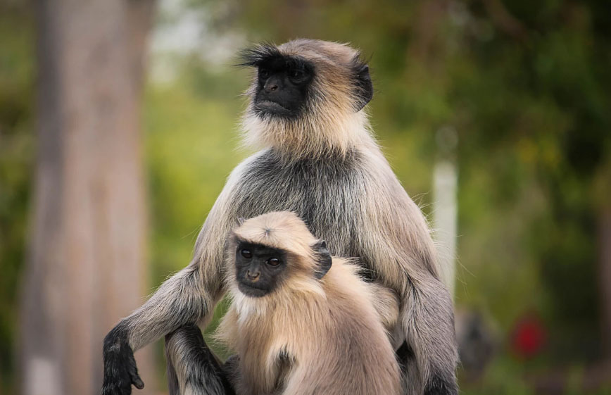 snap_screen_20180201163345