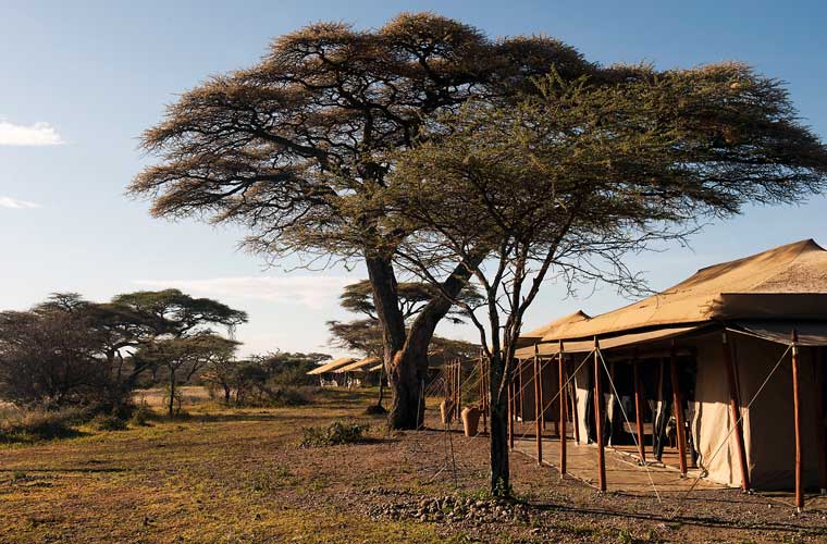 Serengeti Ndutu Under Canvas