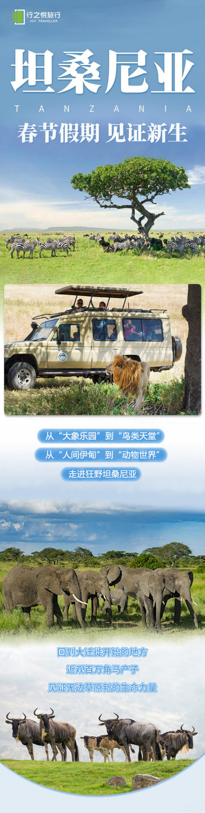 坦桑春节1