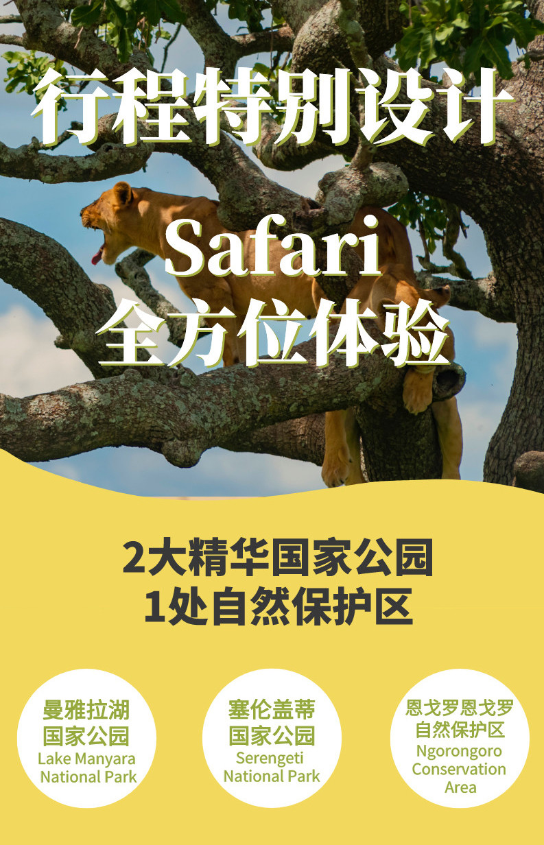 坦桑4-2