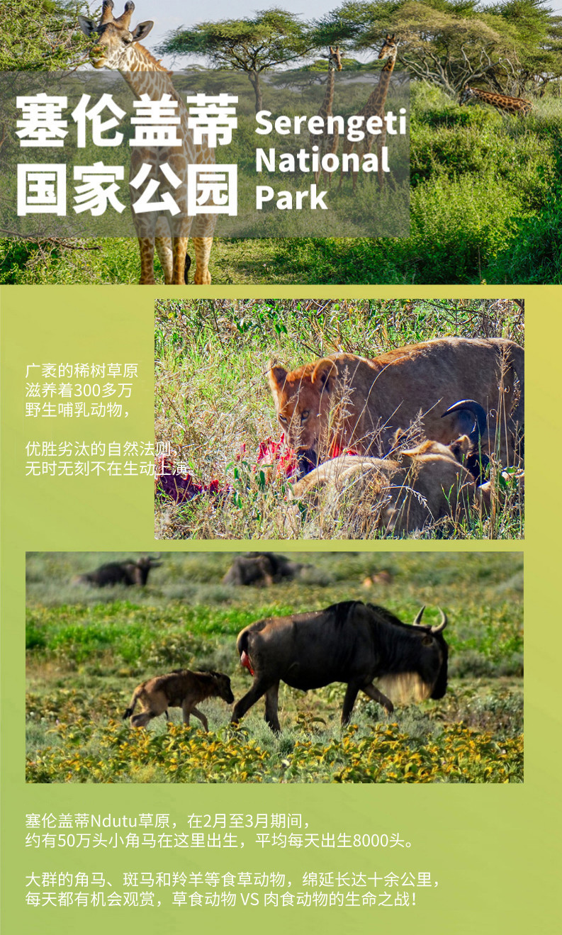 印度长图6