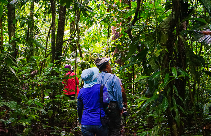 亚马逊2 亚马逊2