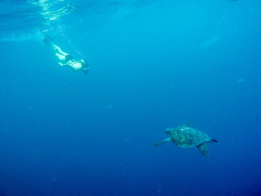 Galapagos-Leon-Dormino-Kicker-Rock-30-of-61-January-14