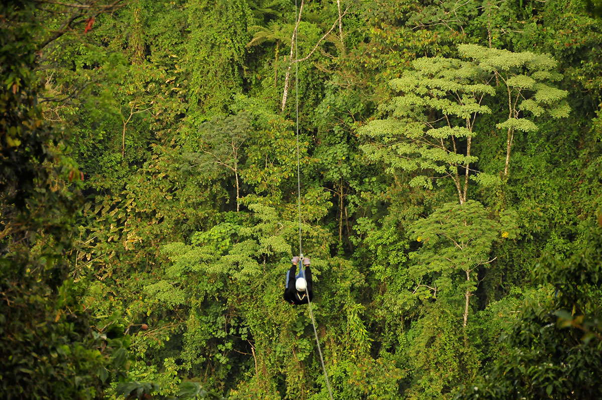 monteverde-cloud-forest-canopy-tour