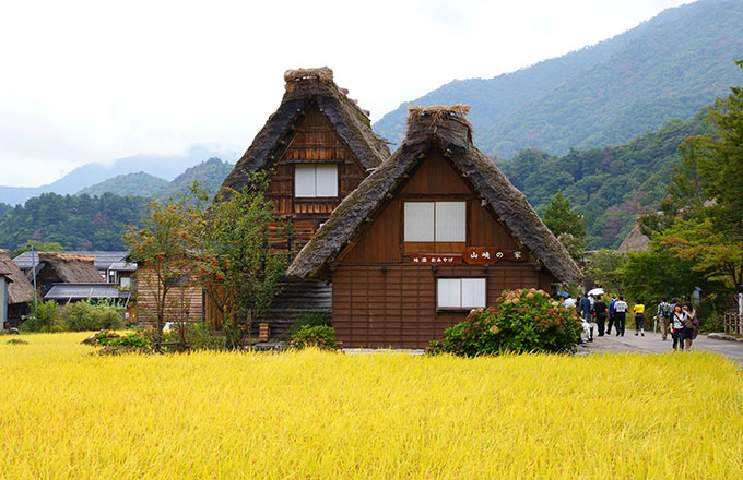 Shirakawago