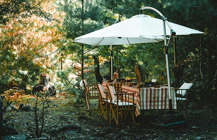 Niding Forest-Picnic野餐