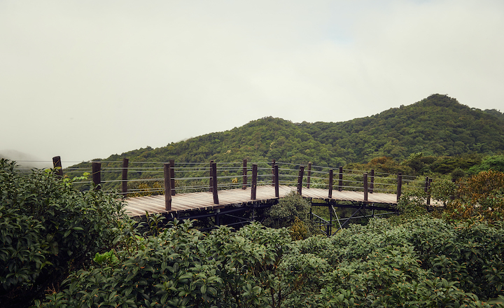 营地栈道 (3)