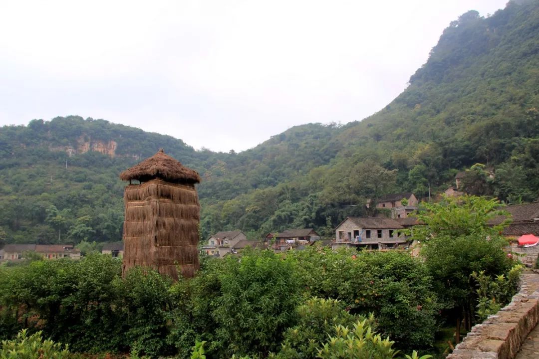 雨补鲁1