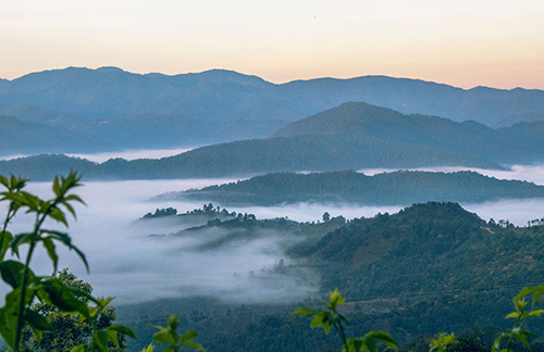 景迈山