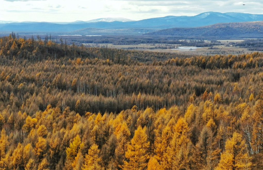 阿尔山 (1)