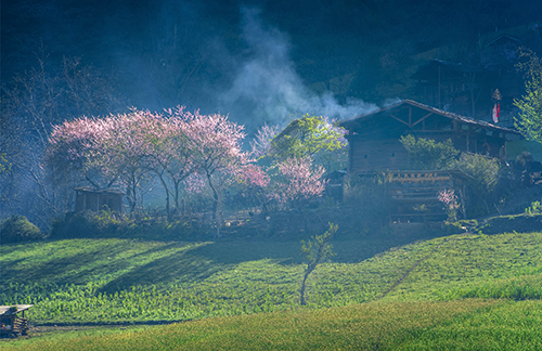 雾里村QJ9130517262