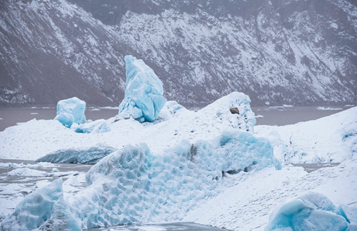 Blue Ice at Laigu 来古冰川蓝冰