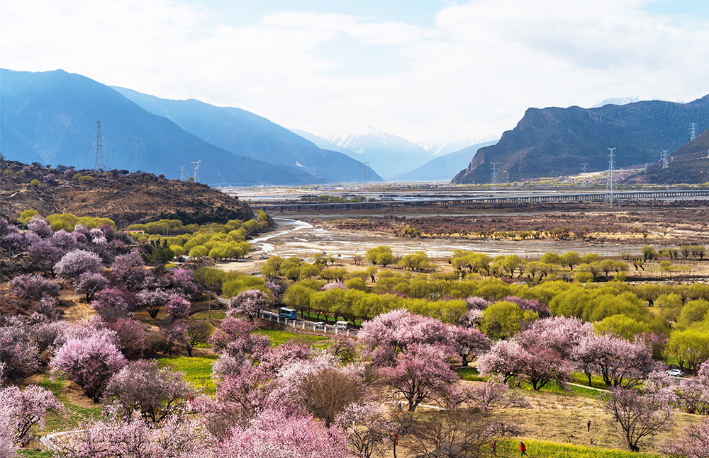 尼洋河