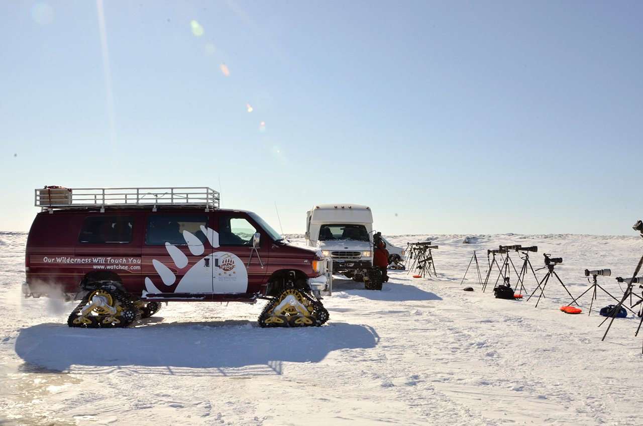 Polar-Bear-Lodge_-by-Michelle-Valberg-_D703650