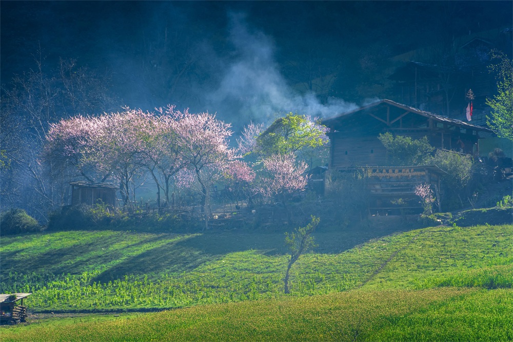 雾里村QJ9130517262