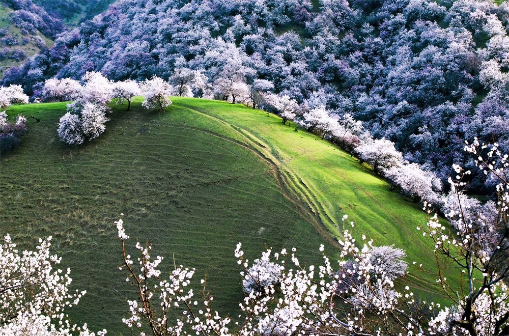 QJ6895144082