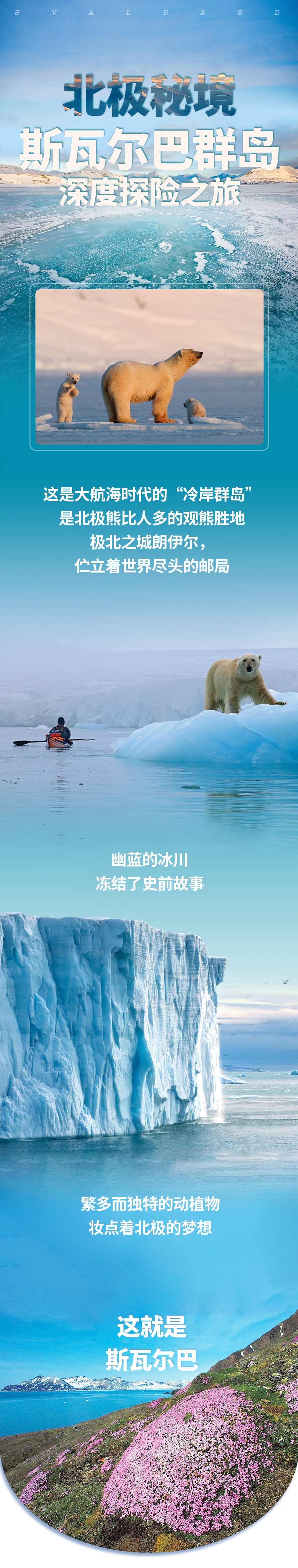海精灵-斯瓦尔巴2023_01
