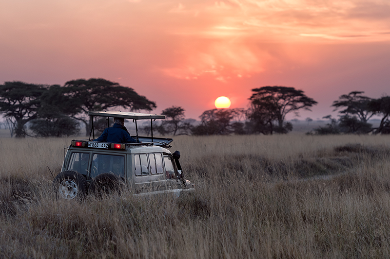 Serengeti, Tanzania