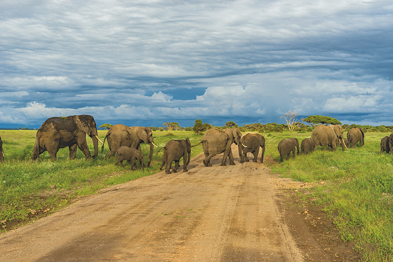 Mount Kilimanjaro, Tanzania (1)