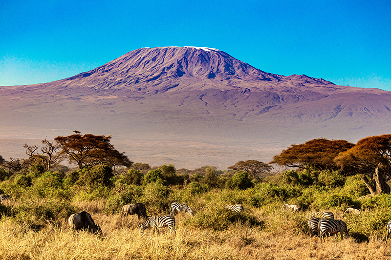 Amboseli (1)