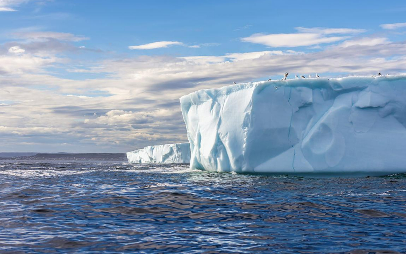 Silversea Luxury Cruises - Antarctic Sound, Antarctica
