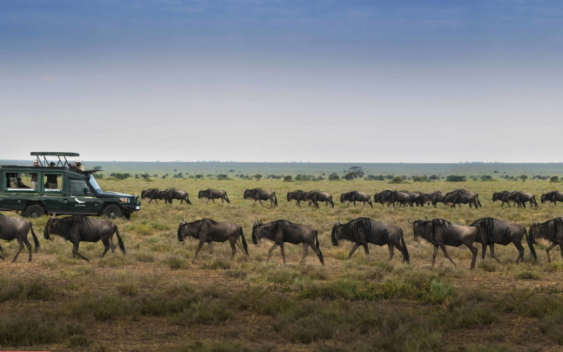 &Beyond Serengeti Under Canvas1