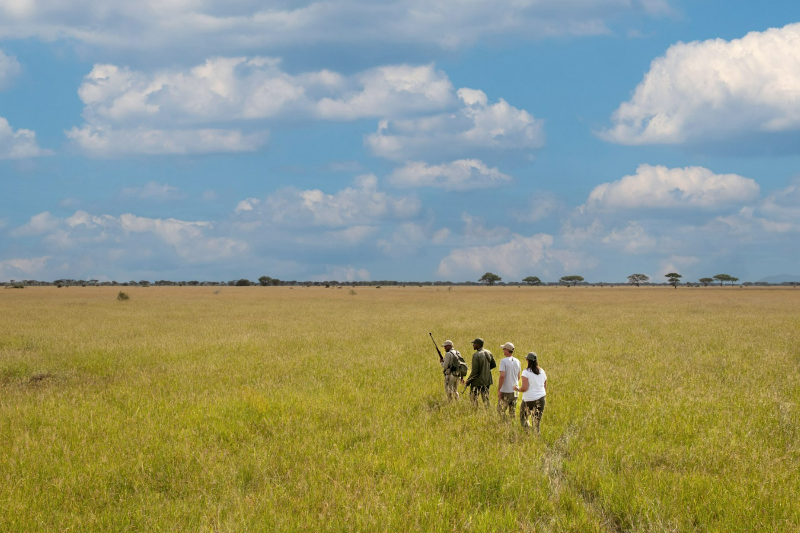 Grumeti Serengeti Tented Camp1