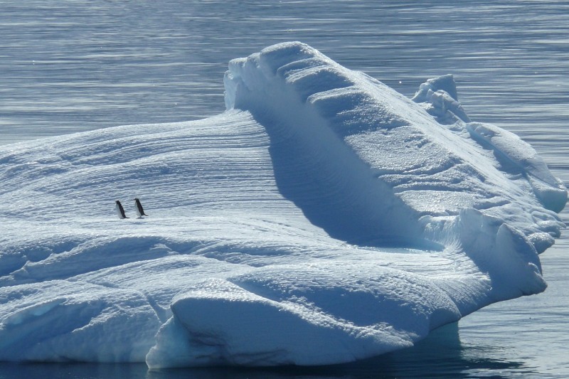 iceberg-329852_1280