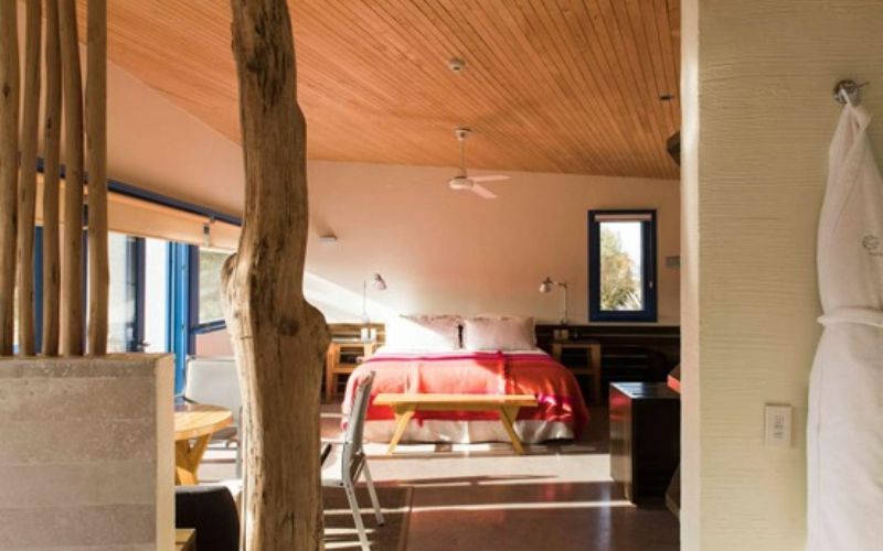 suite catur1