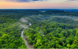 Amazon River1