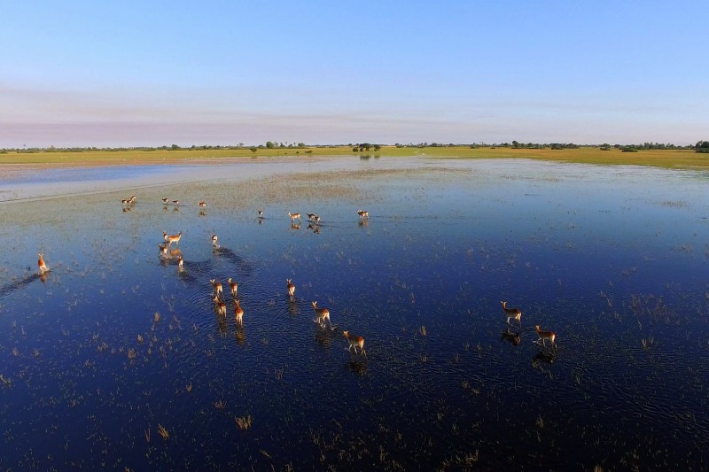 okavango-delta-g97791ff95_1920_副本