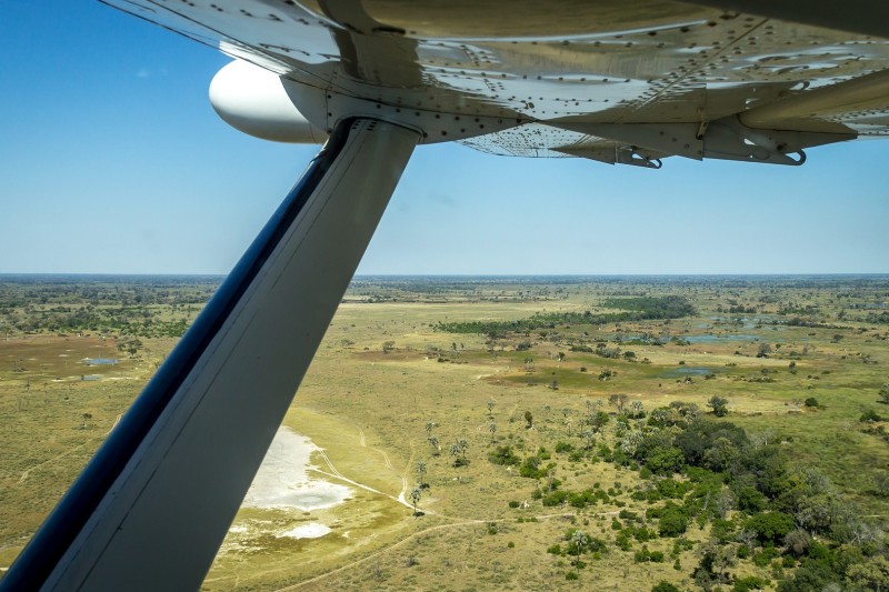 botswana-gfb4adbb99_1920_副本