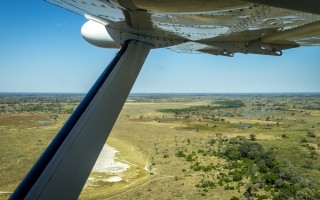 botswana-gfb4adbb99_1920_副本