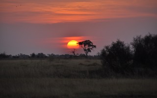 sunset-g5906249fa_1920_副本
